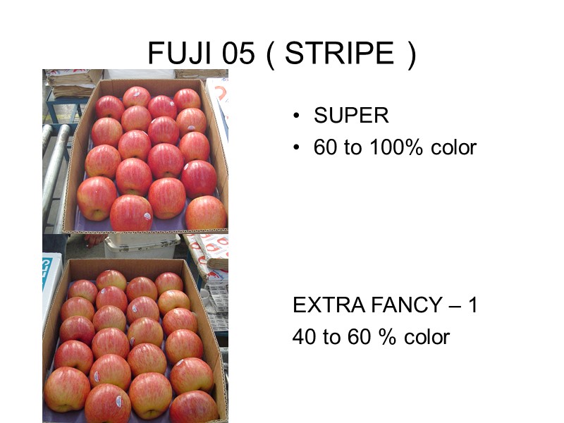 FUJI 05 ( STRIPE ) SUPER 60 to 100% color    